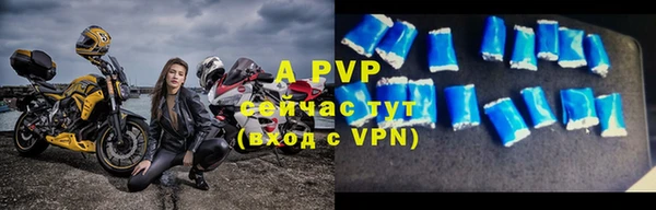 молекула духа Вяземский