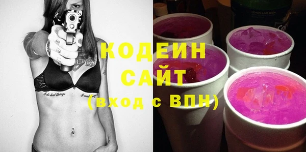 молекула духа Вяземский