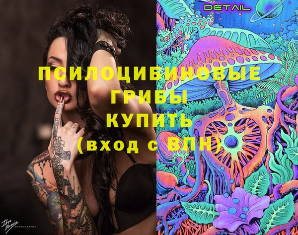 молекула духа Вяземский
