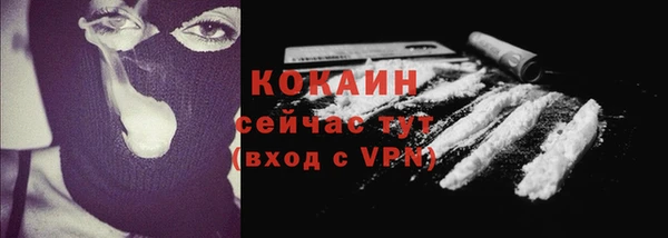 молекула духа Вяземский
