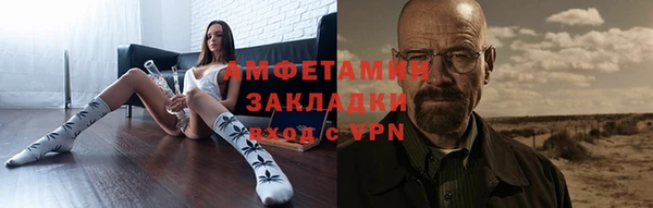молекула духа Вяземский