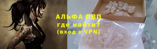 молекула духа Вяземский