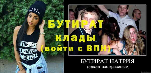 молекула духа Вяземский