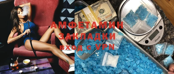 молекула духа Вяземский