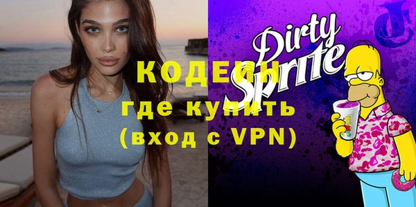 молекула духа Вяземский
