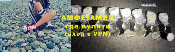 молекула духа Вяземский