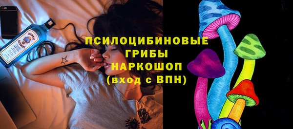 молекула духа Вяземский