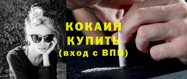 молекула духа Вяземский