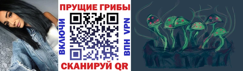 где продают   Димитровград  Псилоцибиновые грибы мицелий 