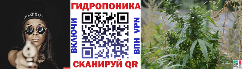 Канабис MAZAR  хочу   Димитровград 